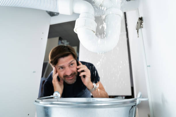 Best Residential Plumbing Services  in Kankakee, IL